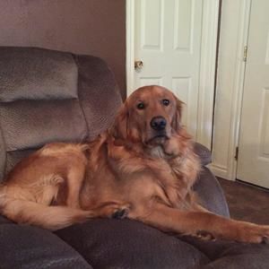 Meet your Posher, Deanna